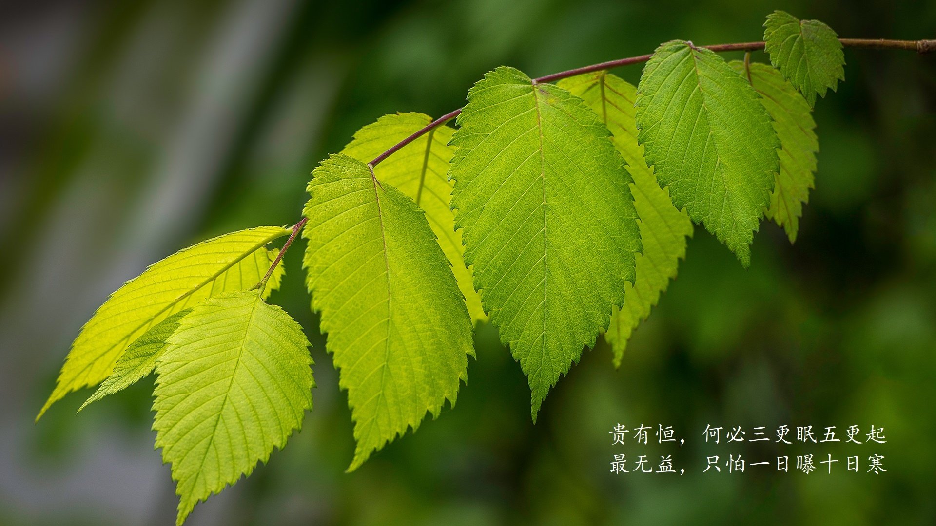fb体育网址-VALORANT 新版赛事体系上线，valorant国内战队一览表