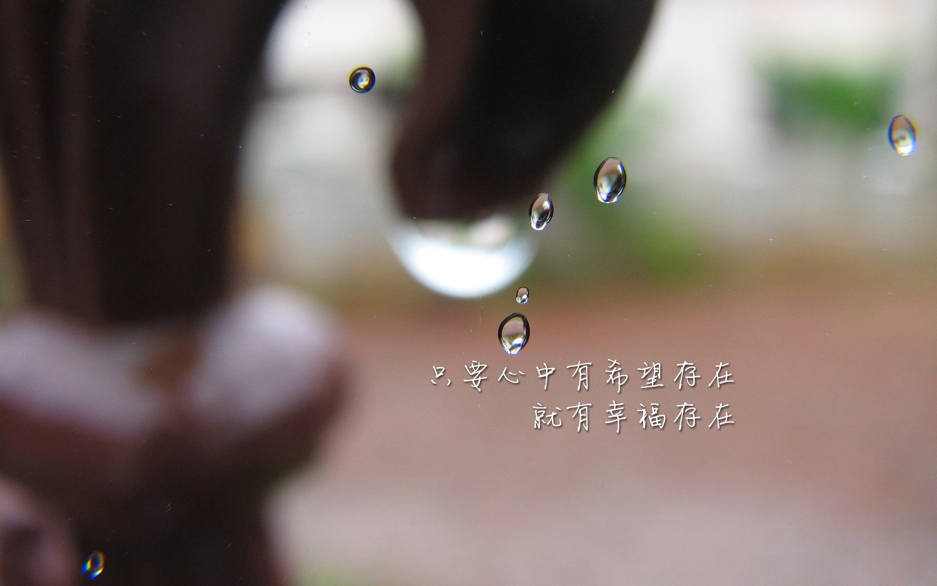 FB体育网站-_冬奥会火炬传递感人瞬间：点亮希望之火_，冬奥会 火炬传递