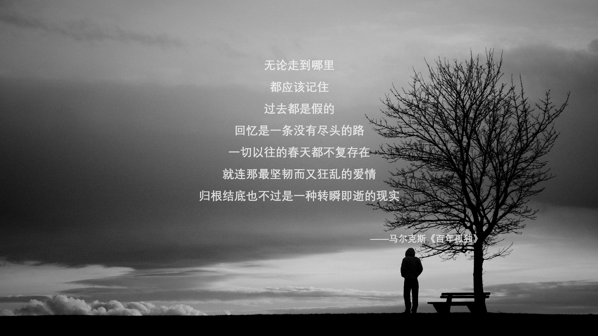 步行者组建“球员摄影团”，发布亲自拍摄生活照，步行者队球员