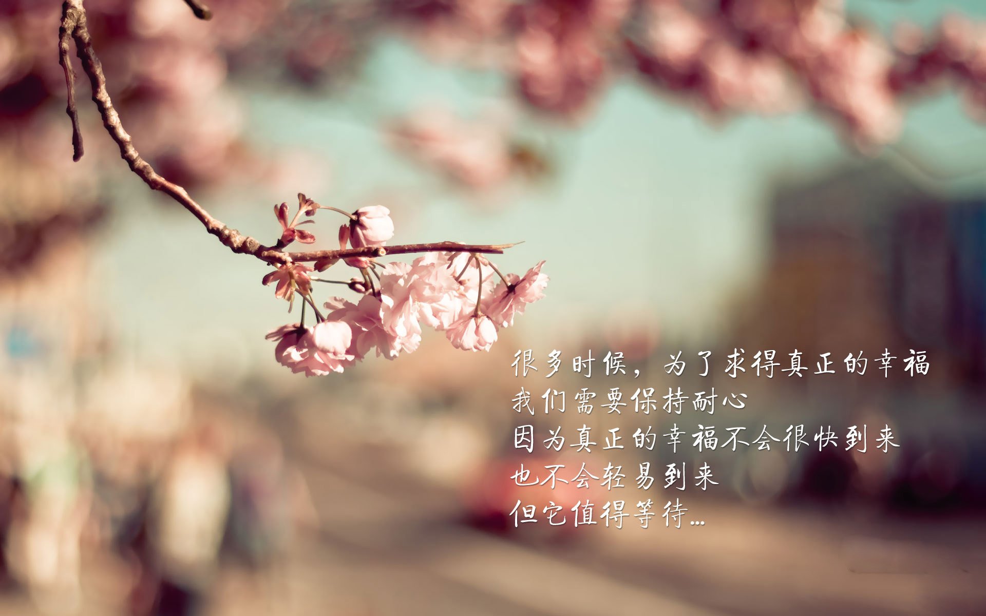英超赛后深度剖析，教练揭示防守体系调整秘诀，英超防守反击的球队