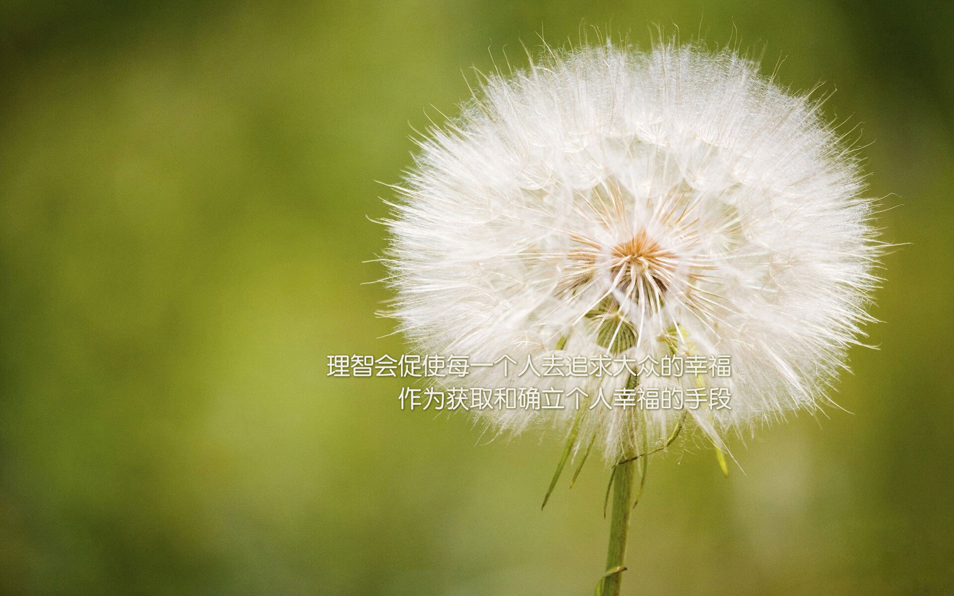 中国队前锋马丁内斯在巴黎奥运会上表现出色，主帅马丁内斯
