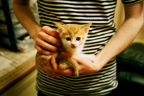 FB体育官网-埃弗顿主场绝平阿森纳延续不败纪录，埃弗顿和阿森纳比分预测