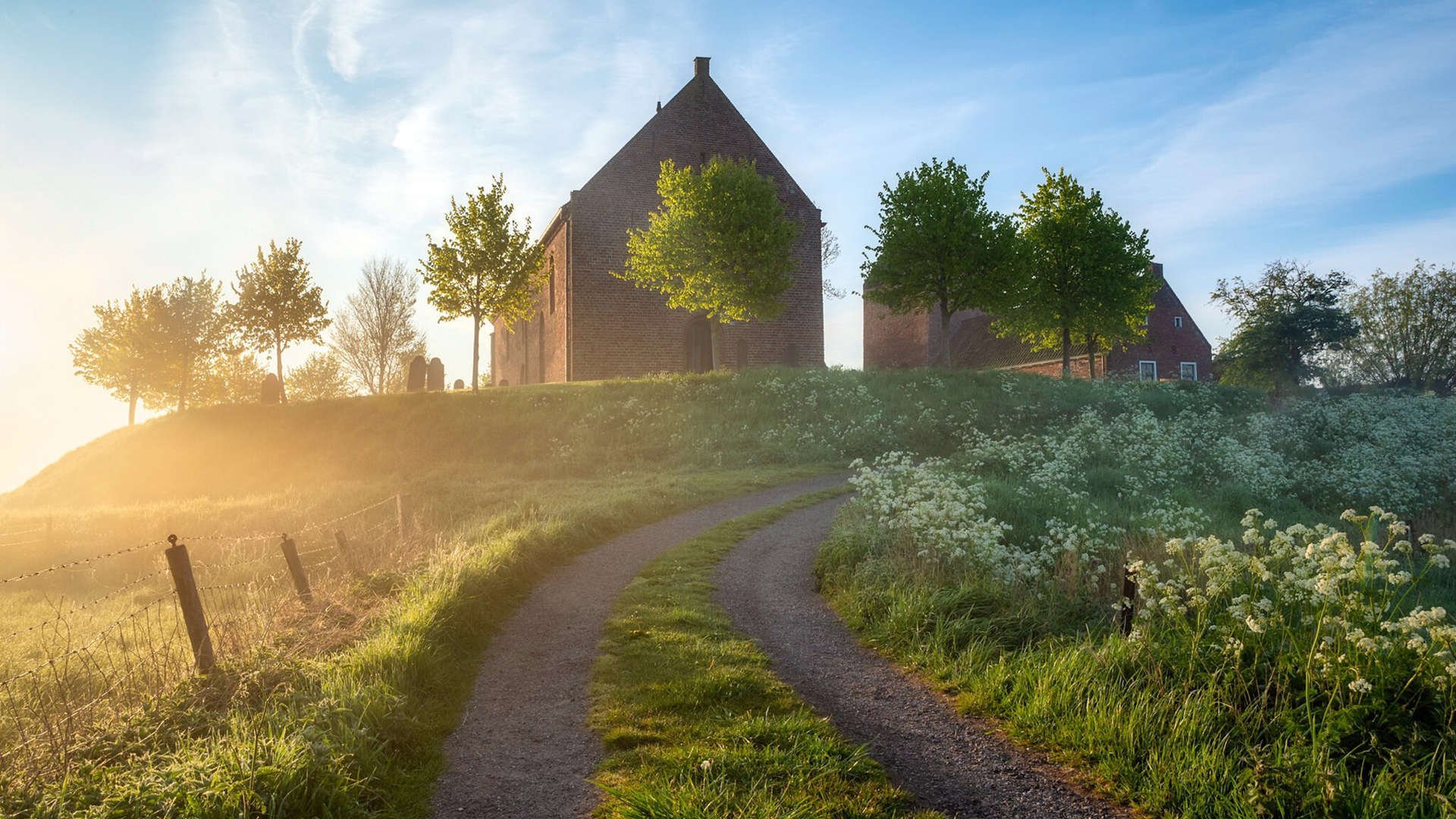 女足联赛品牌建设取得显著成效,女足公司