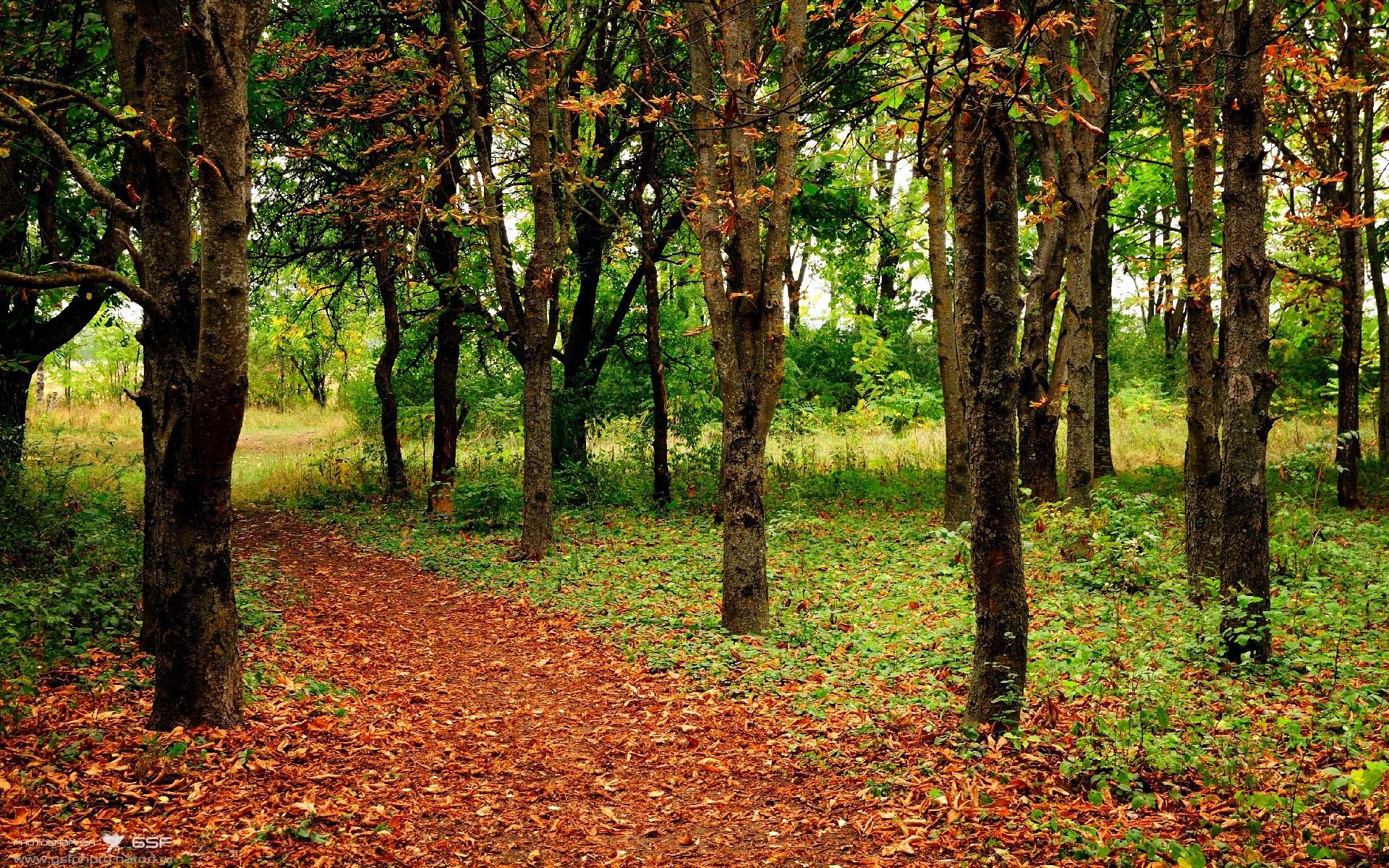尤文图斯取胜保持领先,卫冕势头强劲,尤文图斯赢了吗