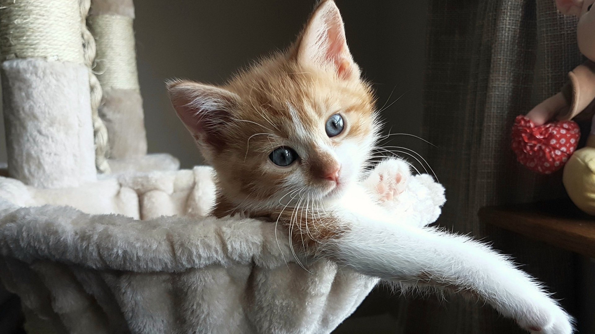 技战术大比拼:智慧用于实战,决定胜负,技战术是什么意思