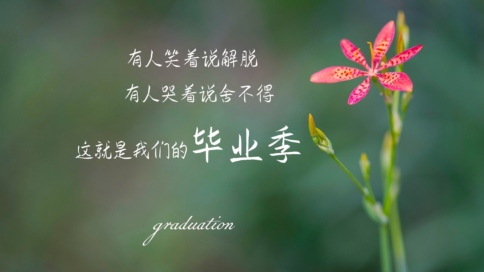 中国篮球职业联赛俱乐部品牌推广与商业合作模式,篮球俱乐部赛事