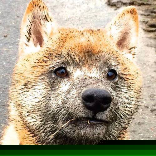 中国足球高节奏对抗中失误类型统计,足球重大失误