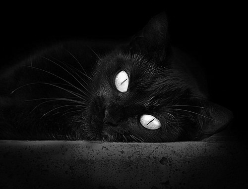 冬奥会短道接力中国女队小组第一晋级,中国冬奥女运动员