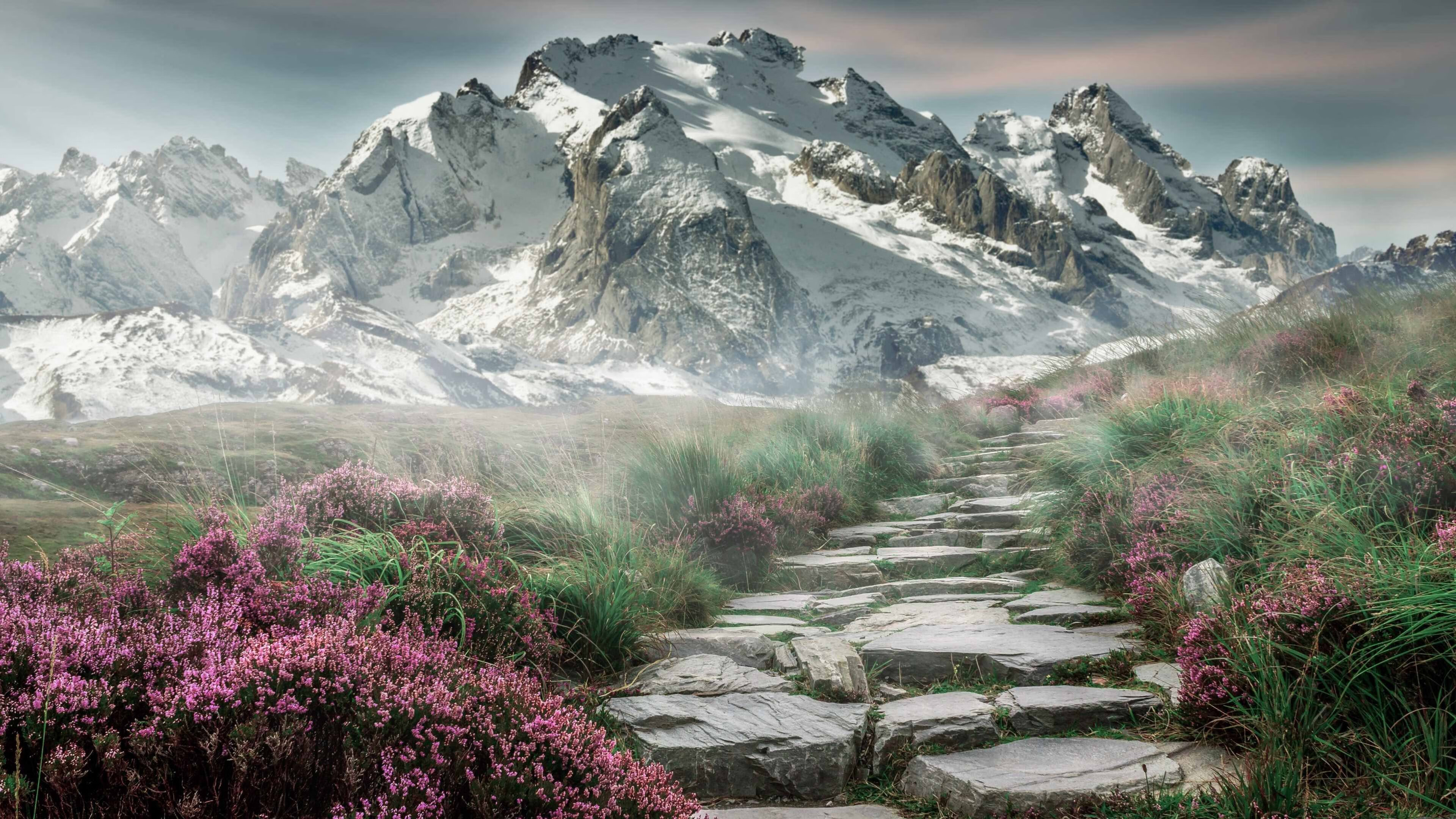 德甲球队动态战术模拟系统促进比赛临场调整能力,德甲模式