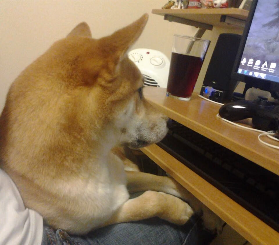 “举重赛场:高新体育中心选手背负全球期待,力争最高荣耀”