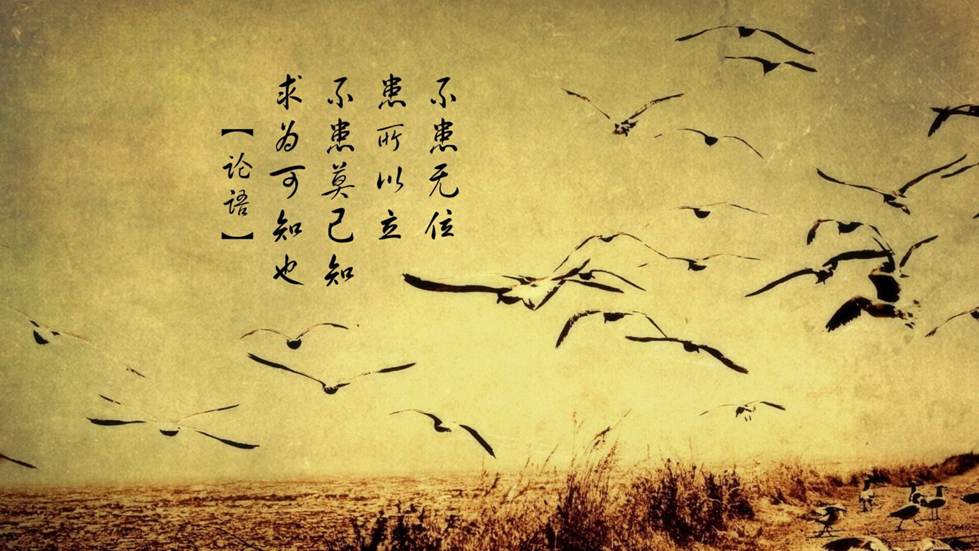 中国男篮培养复合型球员提升战术弹性,中国男篮复古球衣