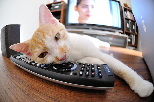 冬季极限运动公开课走进中学课堂,极限运动欣赏课有感